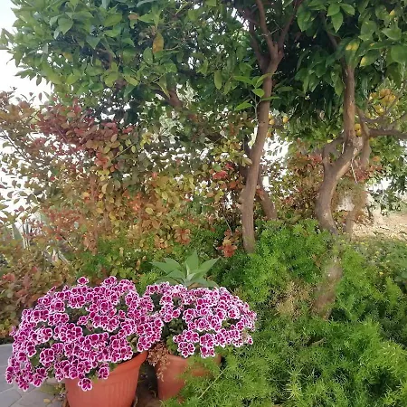 Scala Dei Turchi Bed & Breakfast